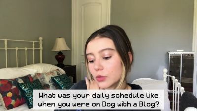video740280.jpg