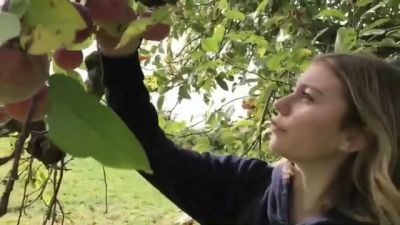 video420238.jpg