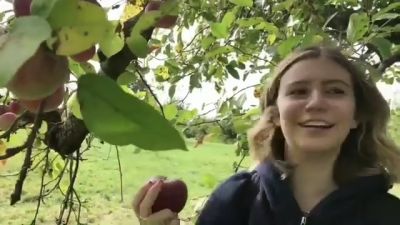 video420314.jpg