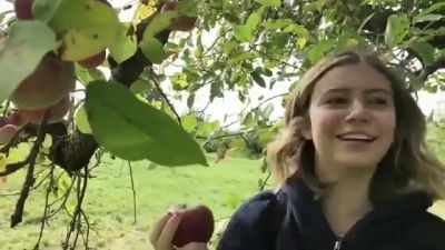 video420315.jpg