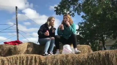 video420335.jpg