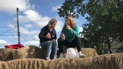 video420352.jpg