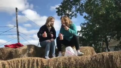 video420378.jpg