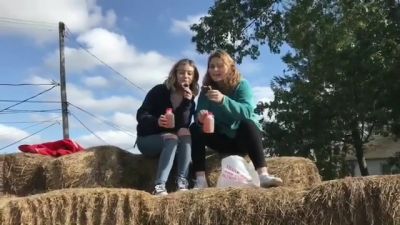 video420430.jpg