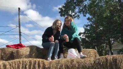 video420452.jpg