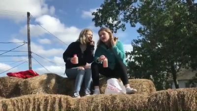 video420479.jpg