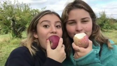 video420515.jpg