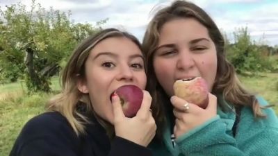 video420531.jpg