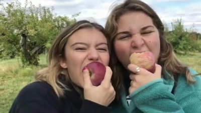 video420547.jpg
