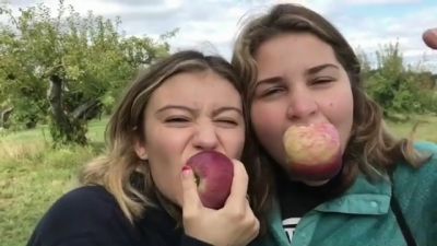 video420567.jpg