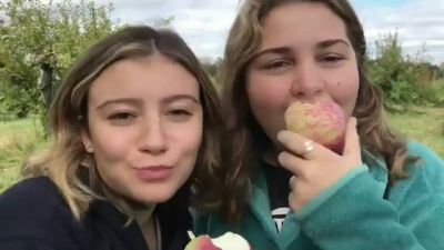 video420621.jpg