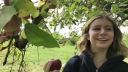 video420315.jpg