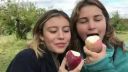 video420496.jpg