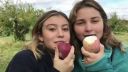 video420507.jpg