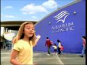 pa0034.jpg