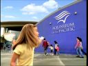 pa0048.jpg