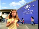 pa0061.jpg