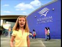 pa0074.jpg