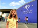 pa0088.jpg