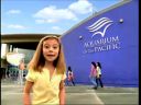pa0091.jpg