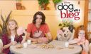 dwab_ps12.jpg