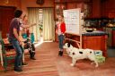 stan-puppies-015.jpg