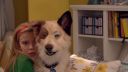 dogwblogep1sea112866.jpg