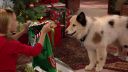 Filename=1x06capz21037.jpg
Filesize=469KiB
Dimensions=1280x720
Date added=Feb 10, 2016 1x06capz21037.jpg