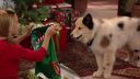 Filename=1x06capz21038.jpg
Filesize=458KiB
Dimensions=1280x720
Date added=Feb 10, 2016 1x06capz21038.jpg