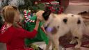 Filename=1x06capz21075.jpg
Filesize=436KiB
Dimensions=1280x720
Date added=Feb 10, 2016 1x06capz21075.jpg