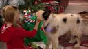 Filename=1x06capz21076.jpg
Filesize=430KiB
Dimensions=1280x720
Date added=Feb 10, 2016 1x06capz21076.jpg