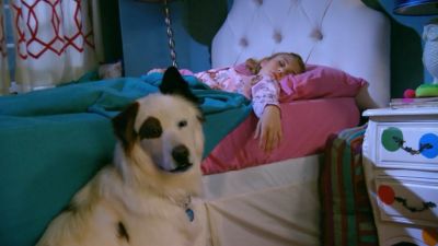 dwabs3ep810924.jpg
