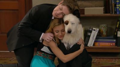 bff31111636.jpg