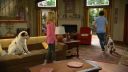stansleeps0558.jpg