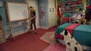 stansleeps16014.jpg