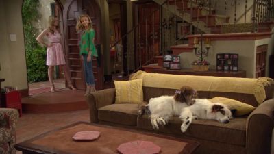3x0919735.jpg