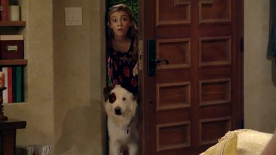 mutt22111012.jpg