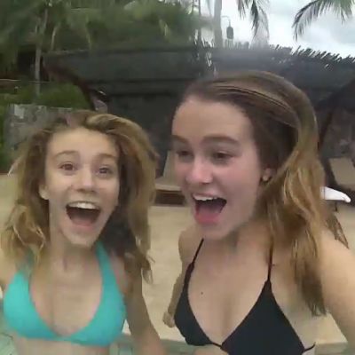 video320071.jpg