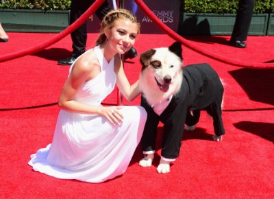 emmy_28129.jpg