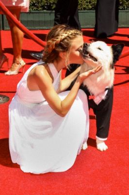 emmyy_282029.jpg