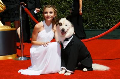 emmyy_283229.jpg