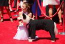 emmy_28729.jpg
