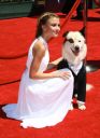 emmyy_281329.jpg