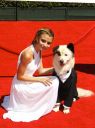 emmyy_281729.jpg